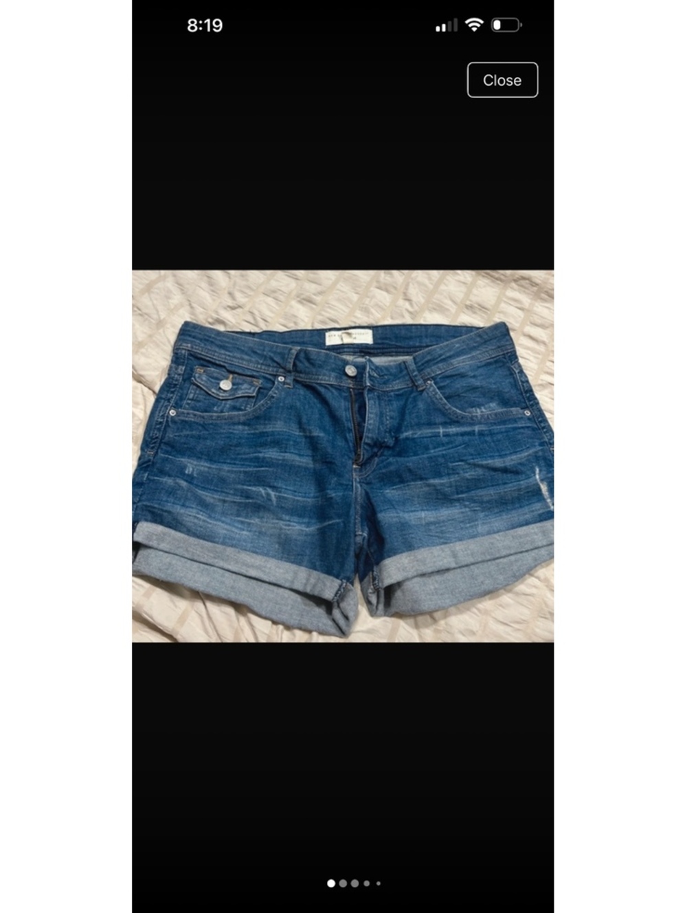 New York laundry shorts